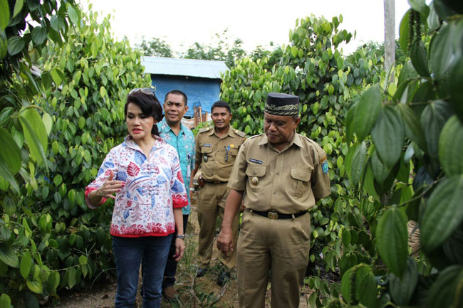 garuda-indonesia-dorong-petani-dan-ukm-di-belitung-dalam-meningkatkan-kualitas-produksi