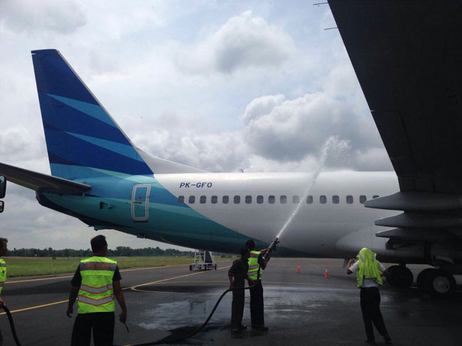 bandara-kualanamu-diserbu-serangga-lembing