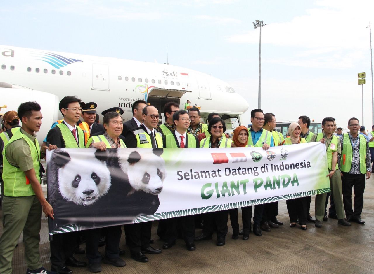 pesawat-a330-200-garuda-indonesia-tibakan-sepasang-giant-panda-dari-chengdu